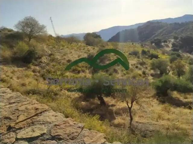 Terreno en venta en Serranía de Ronda, Andalucía