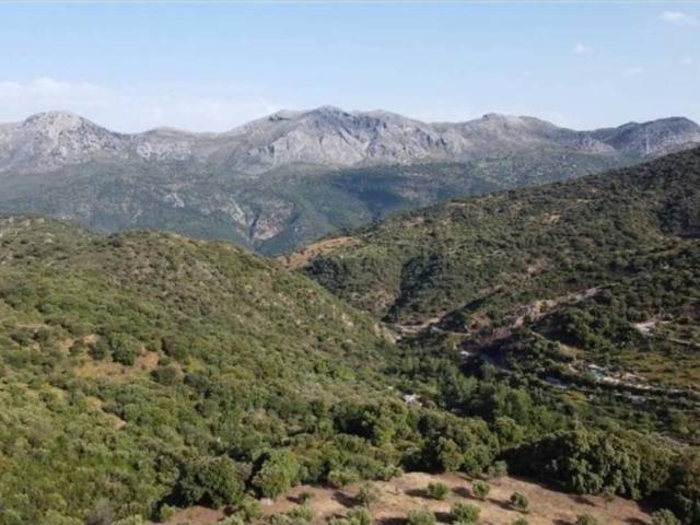 Terreno en venta en Serranía de Ronda, Andalucía