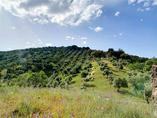 Terreno en venta en Serranía de Ronda, Andalucía