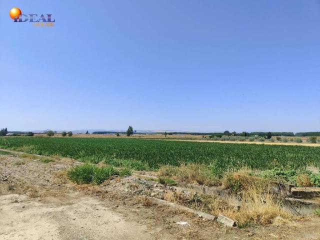 Terreno en venta en Sierra Elvira, Comarca de la Vega de Granada