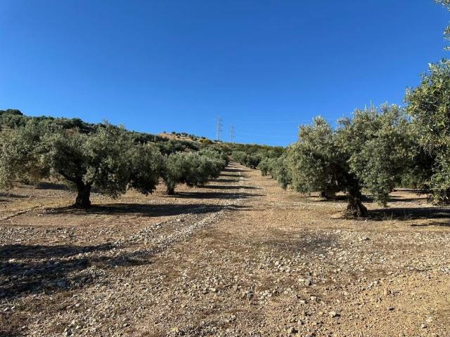 Terreno en venta en Comarca de la Vega de Granada, Andalucía