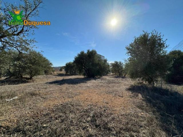 Terreno en venta en Comarca de la Vega de Granada, Andalucía