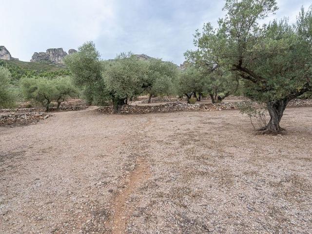 Terreno en venta en Montsià, Catalunya