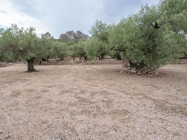 Terreno en venta en Montsià, Catalunya