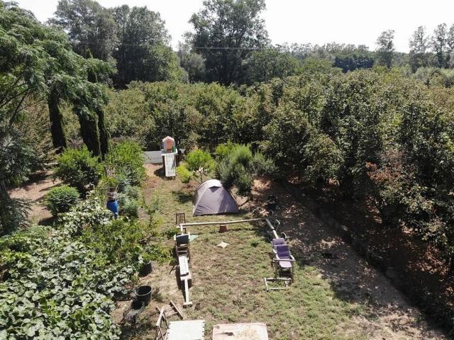 Terreno en venta en Amer, Urbanització Solivent