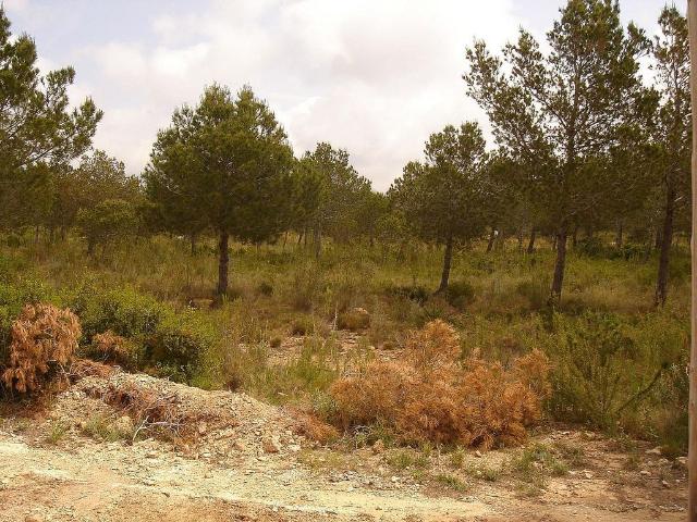 Terreno en venta en Sant Jordi d'Alfama, Baix Ebre