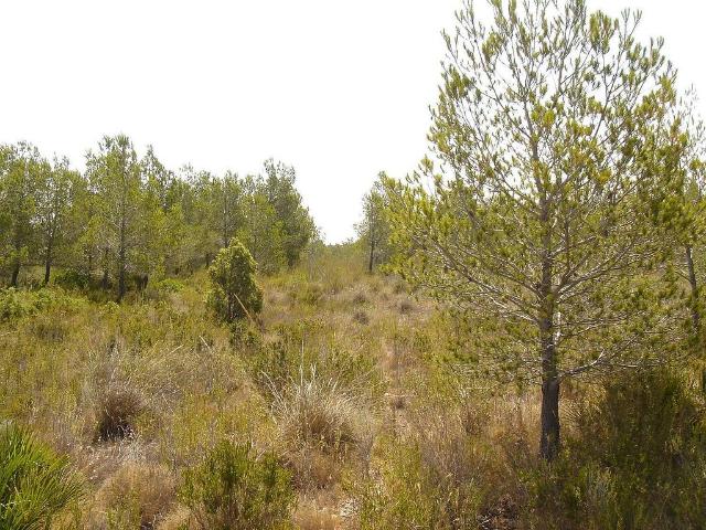 Terreno en venta en Sant Jordi d'Alfama, Baix Ebre