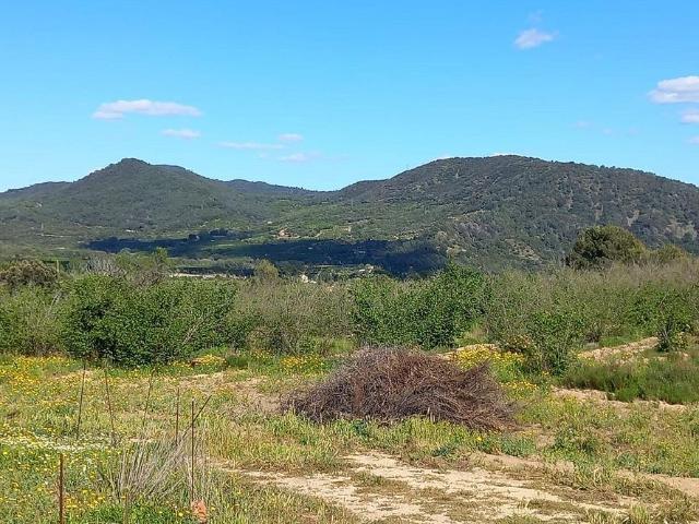 Terreno en venta en L'aleixar, Tarragona