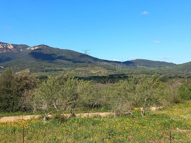 Terreno en venta en Baix Camp, Catalunya