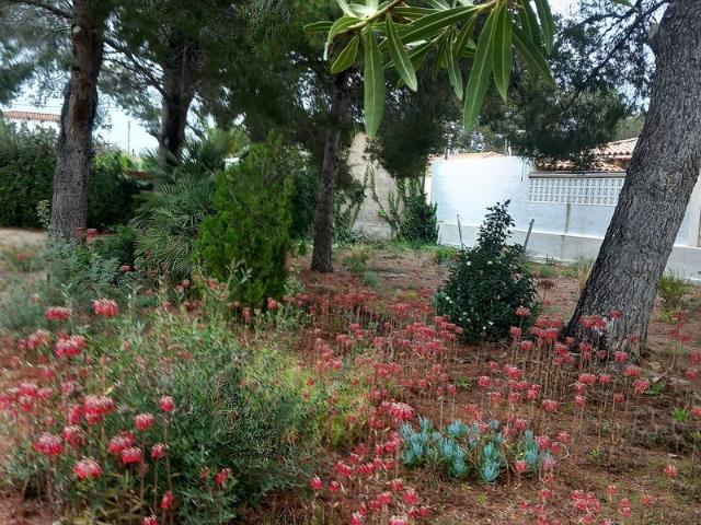 Terreno en venta en Mont-roig Del Camp