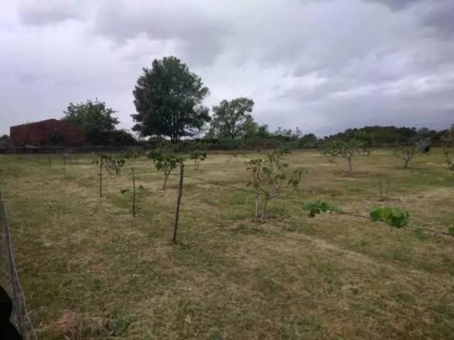 Terreno en venta en Ávila, Castilla y León