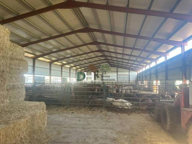 Terreno en venta en Ávila, Castilla y León