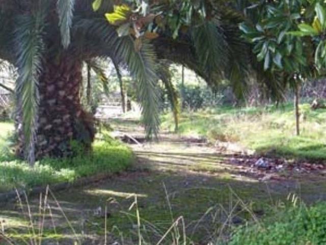 Terreno en venta en Santana, Avilés