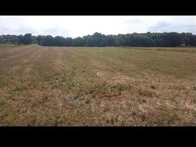 Terreno en venta en Alt Empordà, Catalunya