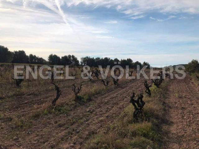 Terreno en venta en Alt Penedès, Catalunya