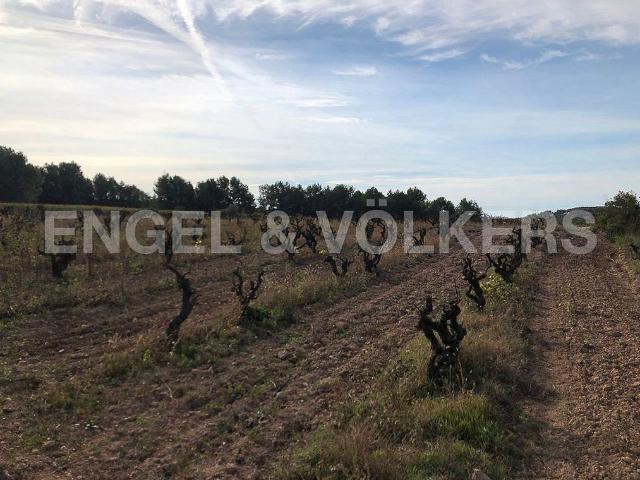 Terreno en venta en Alt Penedès, Catalunya