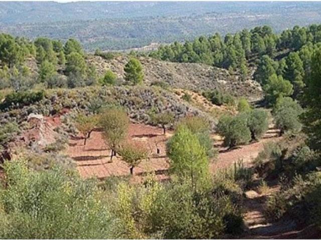 Terreno en venta en El Valle de Cofrentes-Ayora, Valencia