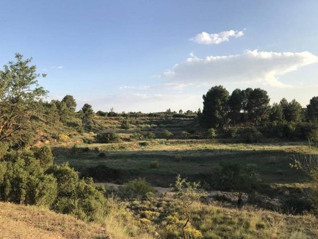 Terreno en venta en El Valle de Cofrentes-Ayora, Valencia