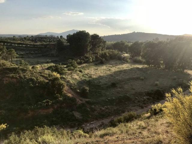 Terreno en venta en El Valle de Cofrentes-Ayora, Valencia