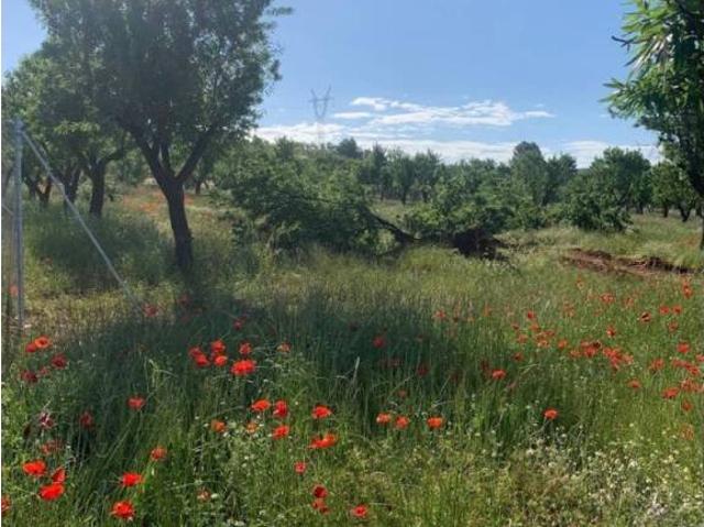 Terreno en venta en El Valle de Cofrentes-Ayora, Valencia
