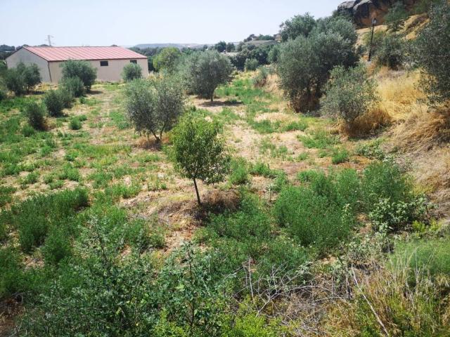 Terreno en venta en Somontano de Barbastro, Aragón