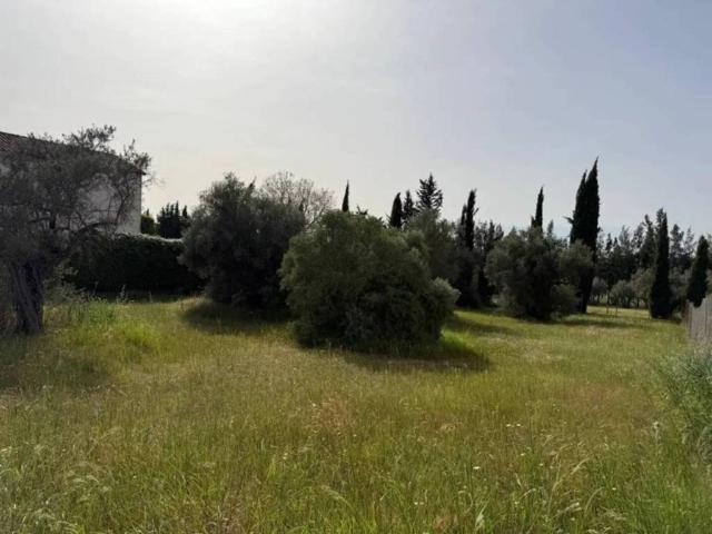 Terreno en venta en Aznalcázar, Andalucía