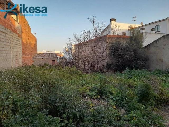 Terreno en venta en Azuaga, Extremadura