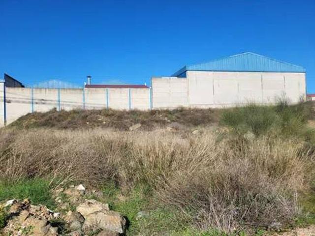 Terreno en venta en Azuaga, Badajoz