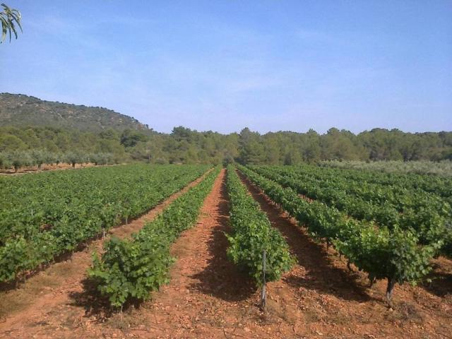 Terreno en venta en l'Alt Palància, Valencia