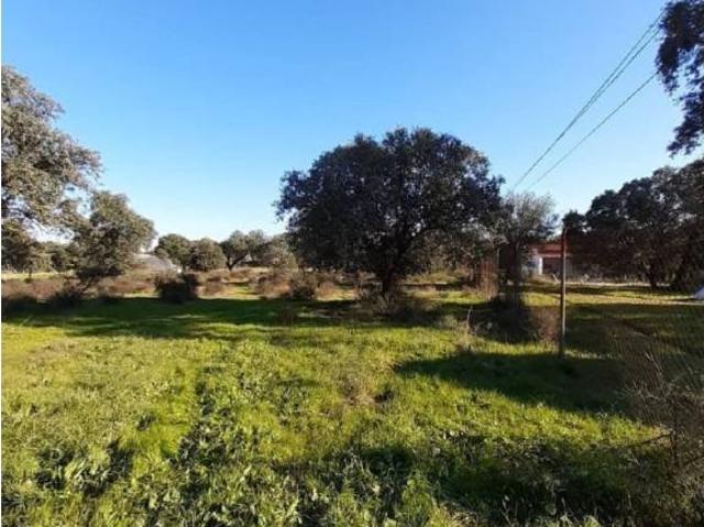 Terreno en venta en Tierra de Badajoz, Extremadura