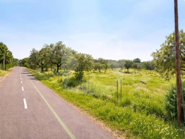 Terreno en venta en Tierra de Badajoz, Extremadura