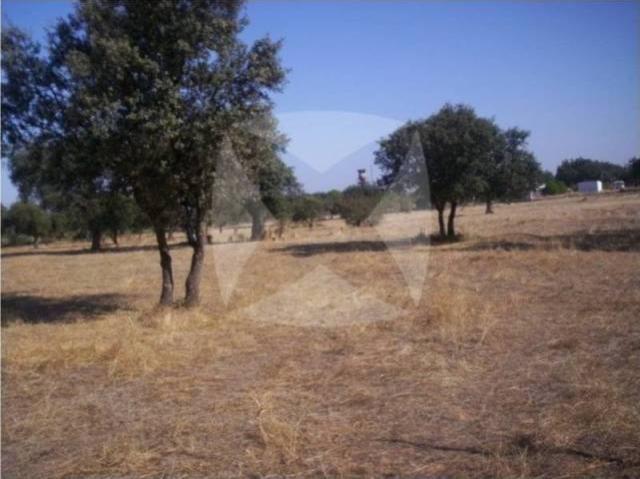 Terreno en venta en Tierra de Badajoz, Extremadura