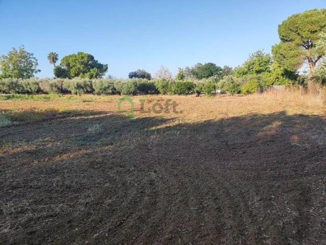 Terreno en venta en Tierra de Badajoz, Extremadura