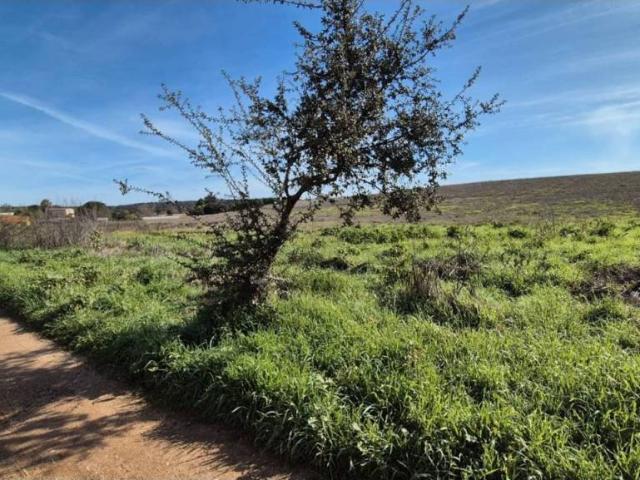 Terreno en venta en Tierra de Badajoz, Extremadura