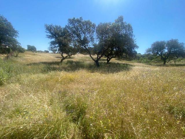 Terreno en venta en Tierra de Badajoz, Extremadura