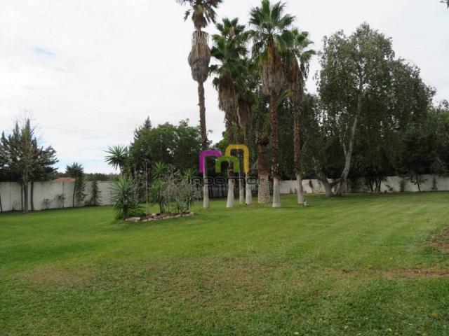 Terreno en venta en Tierra de Badajoz, Extremadura