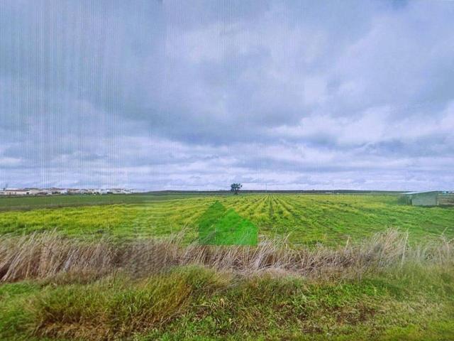 Terreno en venta en Tierra de Badajoz, Extremadura