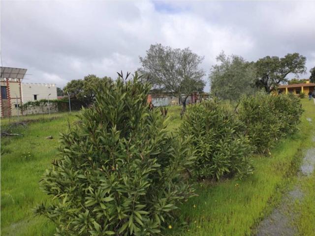 Terreno en venta en Tierra de Badajoz, Extremadura