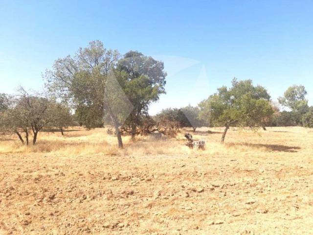 Terreno en venta en Tierra de Badajoz, Extremadura
