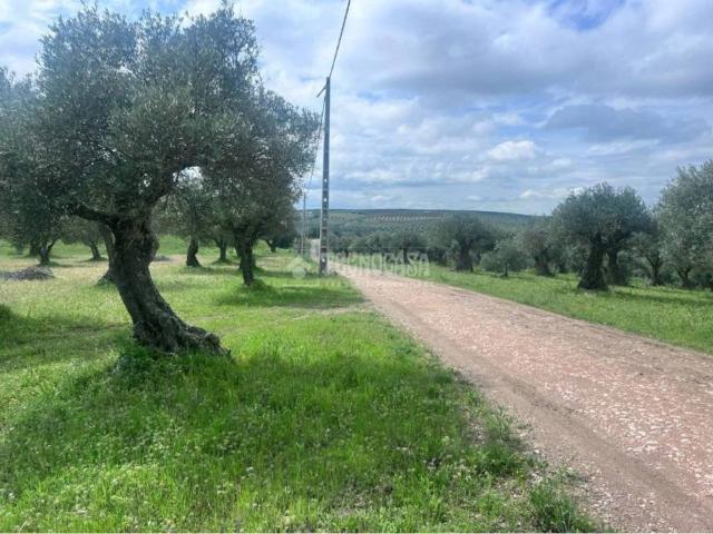 Terreno en venta en Tierra de Badajoz, Extremadura