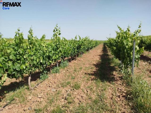 Terreno en venta en Tierra de Badajoz, Extremadura