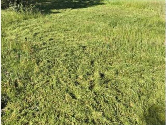 Terreno en venta en Tierra de Badajoz, Extremadura