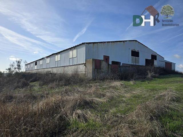 Terreno en venta en Badajoz