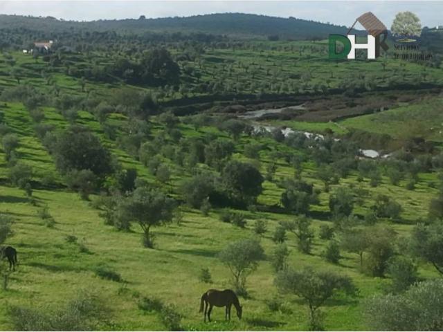 Terreno en venta en Tierra de Badajoz, Extremadura