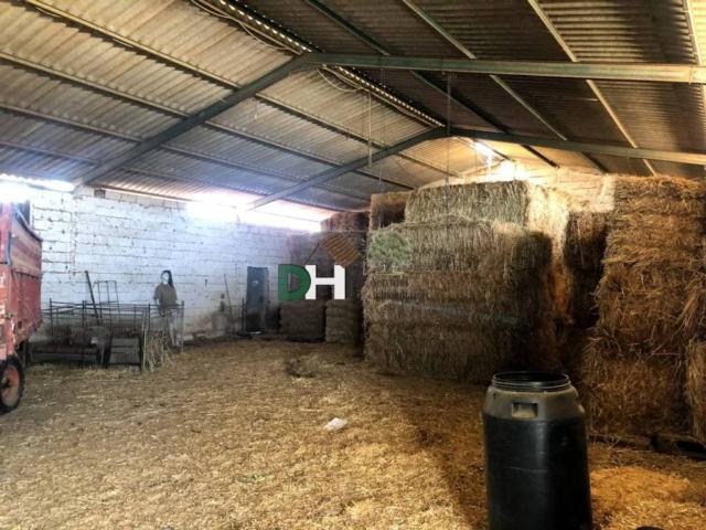 Terreno en venta en Tierra de Badajoz, Extremadura