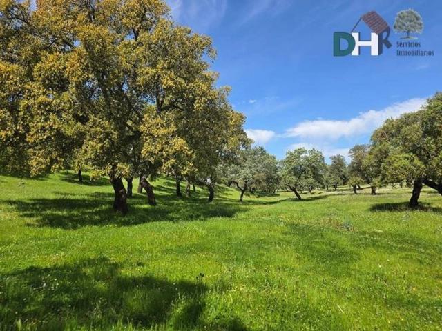 Terreno en venta en Tierra de Badajoz, Extremadura