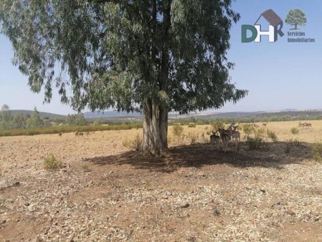 Terreno en venta en Tierra de Badajoz, Extremadura