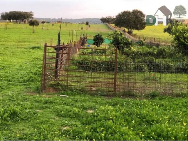 Terreno en venta en Tierra de Badajoz, Extremadura