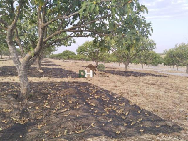 Terreno en venta en Tierra de Badajoz, Extremadura