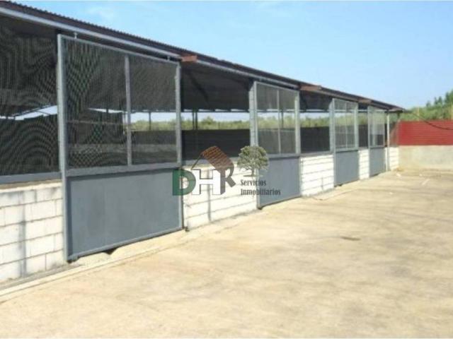 Terreno en venta en Tierra de Badajoz, Extremadura